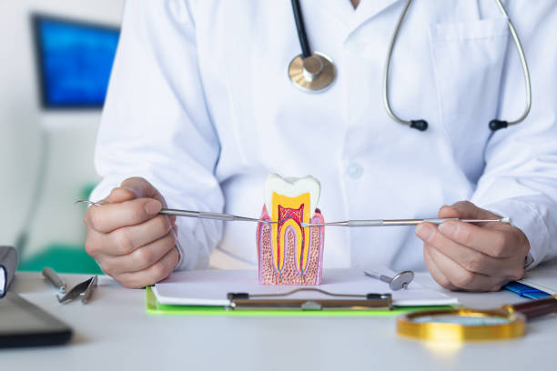 Best Cosmetic Emergency Dentistry in Fruitland, NC